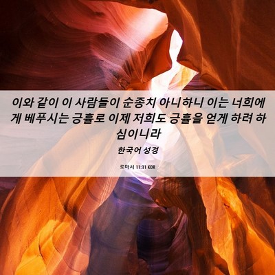 Picture 06 - 로마서 11:31 KOR - 이와 같이 이 사람들이 순종치 - Bible Verse Picture