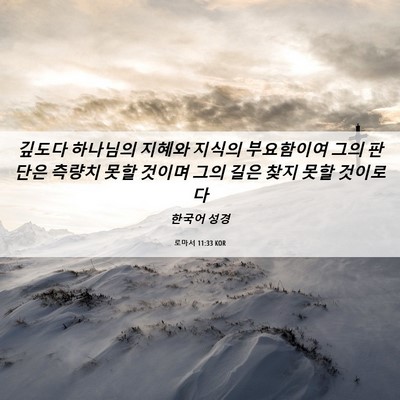 Picture 06 - 로마서 11:33 KOR - 깊도다 하나님의 지혜와 지식의 - Bible Verse Picture