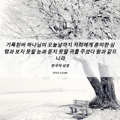 Picture 06 - 로마서 11:8 KOR - 기록된바 하나님이 오늘날까지 - Bible Verse Picture