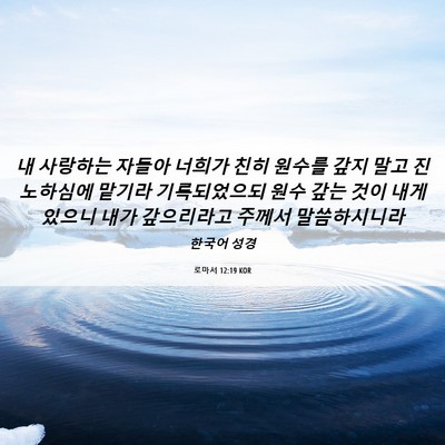 Picture 06 - 로마서 12:19 KOR - 내 사랑하는 자들아 너희가 친히 - Bible Verse Picture