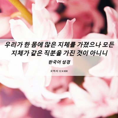 Picture 06 - 로마서 12:4 KOR - 우리가 한 몸에 많은 지체를 - Bible Verse Picture