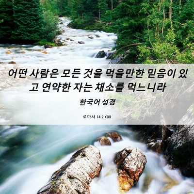 Picture 06 - 로마서 14:2 KOR - 어떤 사람은 모든 것을 먹을만한 - Bible Verse Picture