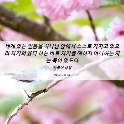 Picture 06 - 로마서 14:22 KOR - 네게 있는 믿음을 하나님 앞에서 - Bible Verse Picture