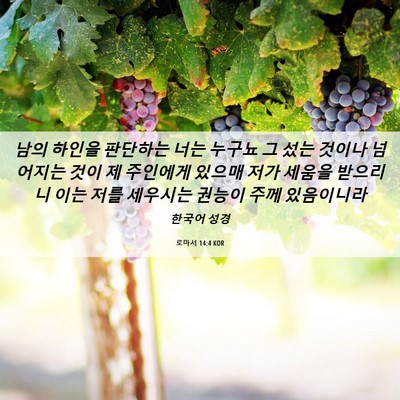 Picture 06 - 로마서 14:4 KOR - 남의 하인을 판단하는 너는 누구뇨 - Bible Verse Picture