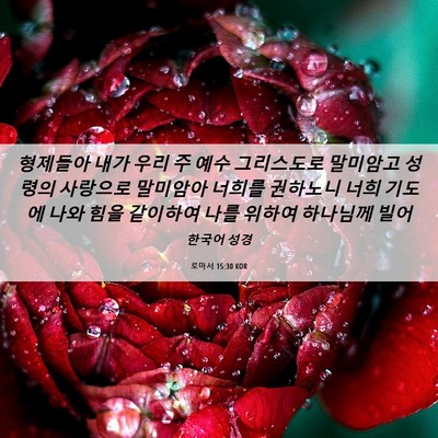 Picture 06 - 로마서 15:30 KOR - 형제들아 내가 우리 주 예수 - Bible Verse Picture