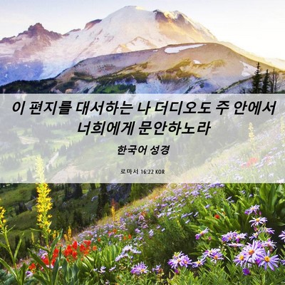 Picture 06 - 로마서 16:22 KOR - 이 편지를 대서하는 나 더디오도 주 - Bible Verse Picture