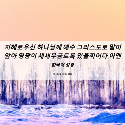 Picture 06 - 로마서 16:27 KOR - 지혜로우신 하나님께 예수 - Bible Verse Picture