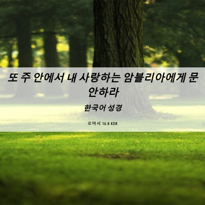 Picture 06 - 로마서 16:8 KOR - 또 주 안에서 내 사랑하는 - Bible Verse Picture
