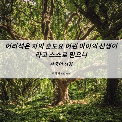 Picture 06 - 로마서 2:20 KOR - 어리석은 자의 훈도요 어린 아이의 - Bible Verse Picture