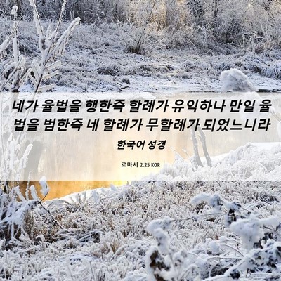 Picture 06 - 로마서 2:25 KOR - 네가 율법을 행한즉 할례가 유익하나 - Bible Verse Picture