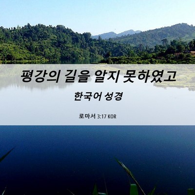 Picture 06 - 로마서 3:17 KOR - 평강의 길을 알지 - Bible Verse Picture