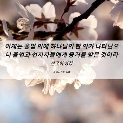 Picture 06 - 로마서 3:21 KOR - 이제는 율법 외에 하나님의 한 의가 - Bible Verse Picture