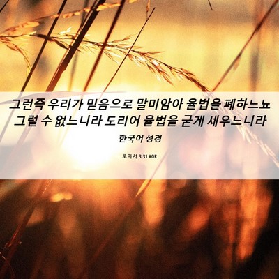 Picture 06 - 로마서 3:31 KOR - 그런즉 우리가 믿음으로 말미암아 - Bible Verse Picture