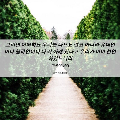 Picture 06 - 로마서 3:9 KOR - 그러면 어떠하뇨 우리는 나으뇨 결코 - Bible Verse Picture