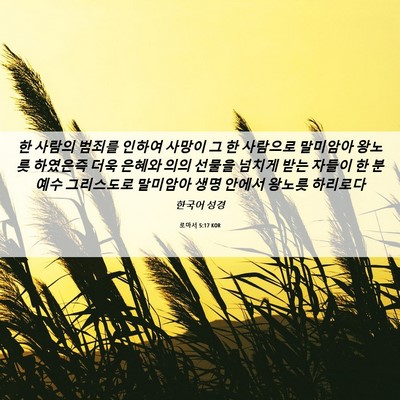 Picture 06 - 로마서 5:17 KOR - 한 사람의 범죄를 인하여 사망이 그 - Bible Verse Picture