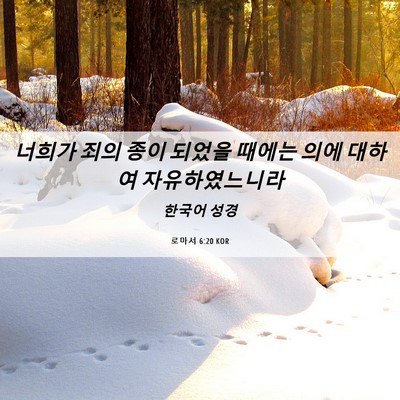 Picture 06 - 로마서 6:20 KOR - 너희가 죄의 종이 되었을 때에는 - Bible Verse Picture