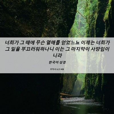 Picture 06 - 로마서 6:21 KOR - 너희가 그 때에 무슨 열매를 - Bible Verse Picture
