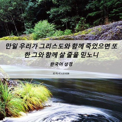 Picture 06 - 로마서 6:8 KOR - 만일 우리가 그리스도와 함께 - Bible Verse Picture