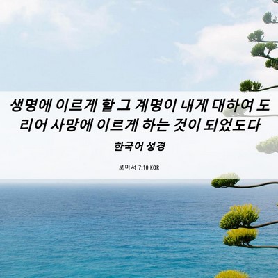Picture 06 - 로마서 7:10 KOR - 생명에 이르게 할 그 계명이 내게 - Bible Verse Picture