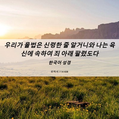 Picture 06 - 로마서 7:14 KOR - 우리가 율법은 신령한 줄 알거니와 - Bible Verse Picture