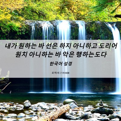 Picture 06 - 로마서 7:19 KOR - 내가 원하는 바 선은 하지 아니하고 - Bible Verse Picture