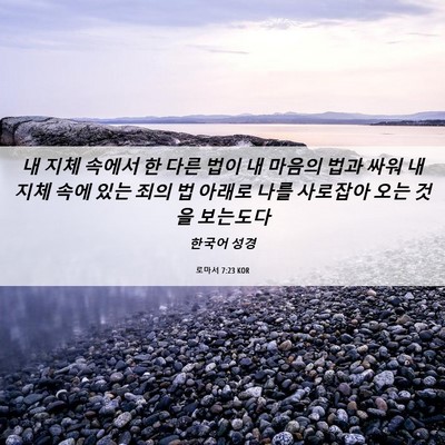 Picture 06 - 로마서 7:23 KOR - 내 지체 속에서 한 다른 법이 내 - Bible Verse Picture