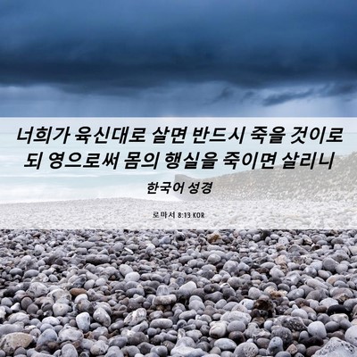 Picture 06 - 로마서 8:13 KOR - 너희가 육신대로 살면 반드시 죽을 - Bible Verse Picture