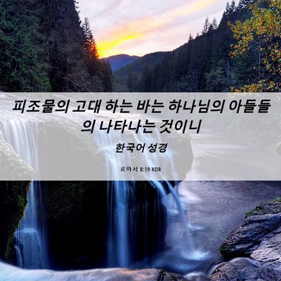 Picture 06 - 로마서 8:19 KOR - 피조물의 고대 하는 바는 하나님의 - Bible Verse Picture