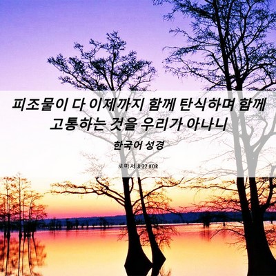 Picture 06 - 로마서 8:22 KOR - 피조물이 다 이제까지 함께 탄식하며 - Bible Verse Picture