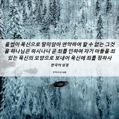Picture 06 - 로마서 8:3 KOR - 율법이 육신으로 말미암아 연약하여 - Bible Verse Picture