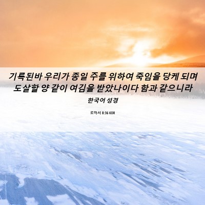 Picture 06 - 로마서 8:36 KOR - 기록된바 우리가 종일 주를 위하여 - Bible Verse Picture