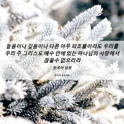 Picture 06 - 로마서 8:39 KOR - 높음이나 깊음이나 다른 아무 - Bible Verse Picture