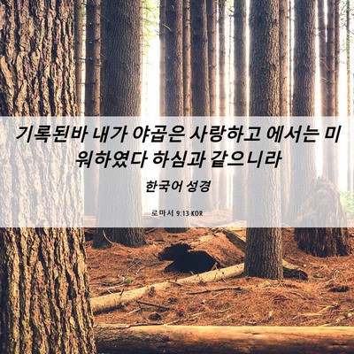 Picture 06 - 로마서 9:13 KOR - 기록된바 내가 야곱은 사랑하고 - Bible Verse Picture
