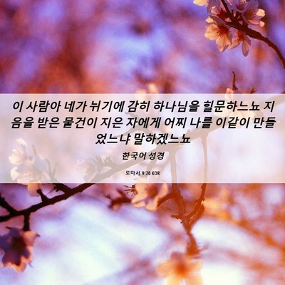 Picture 06 - 로마서 9:20 KOR - 이 사람아 네가 뉘기에 감히 - Bible Verse Picture