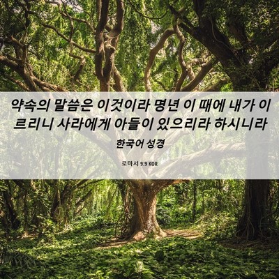 Picture 06 - 로마서 9:9 KOR - 약속의 말씀은 이것이라 명년 이 - Bible Verse Picture