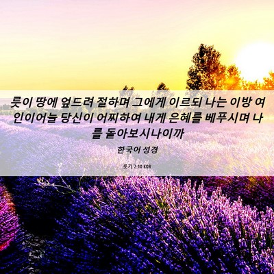 Picture 06 - 룻기 2:10 KOR - 룻이 땅에 엎드려 절하며 그에게 - Bible Verse Picture