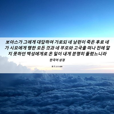 Picture 06 - 룻기 2:11 KOR - 보아스가 그에게 대답하여 가로되 네 - Bible Verse Picture