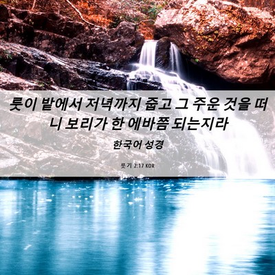 Picture 06 - 룻기 2:17 KOR - 룻이 밭에서 저녁까지 줍고 그 주운 - Bible Verse Picture