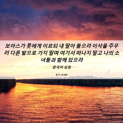 Picture 06 - 룻기 2:8 KOR - 보아스가 룻에게 이르되 내 딸아 - Bible Verse Picture