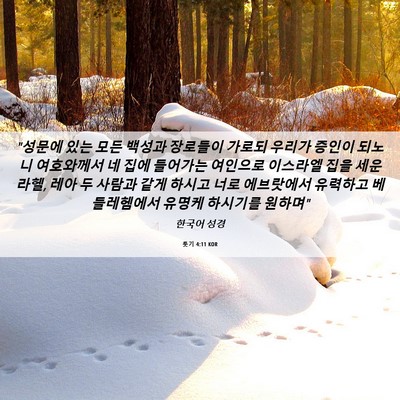 Picture 06 - 룻기 4:11 KOR - 