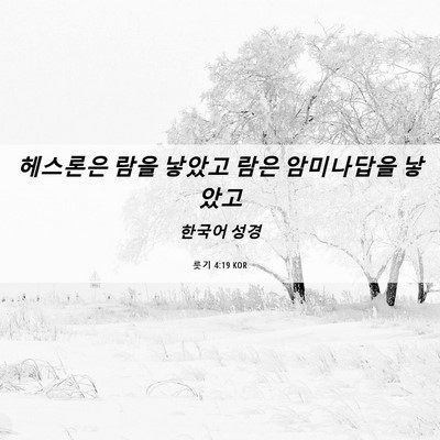 Picture 06 - 룻기 4:19 KOR - 헤스론은 람을 낳았고 람은 - Bible Verse Picture