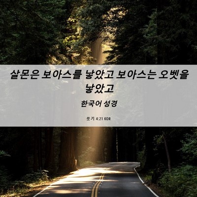 Picture 06 - 룻기 4:21 KOR - 살몬은 보아스를 낳았고 보아스는 - Bible Verse Picture