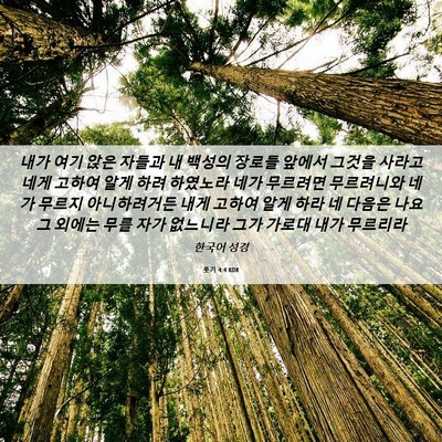 Picture 06 - 룻기 4:4 KOR - 내가 여기 앉은 자들과 내 백성의 - Bible Verse Picture