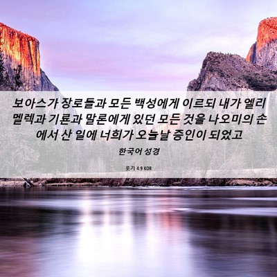 Picture 06 - 룻기 4:9 KOR - 보아스가 장로들과 모든 백성에게 - Bible Verse Picture