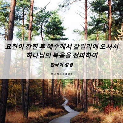 Picture 06 - 마가복음 1:14 KOR - 요한이 잡힌 후 예수께서 갈릴리에 - Bible Verse Picture