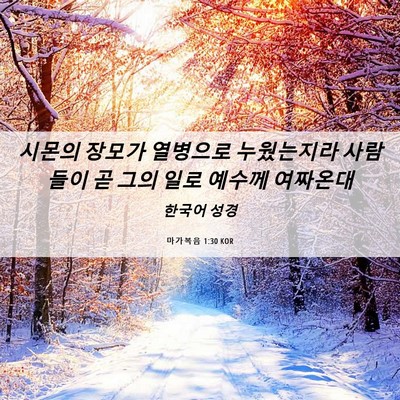 Picture 06 - 마가복음 1:30 KOR - 시몬의 장모가 열병으로 누웠는지라 - Bible Verse Picture