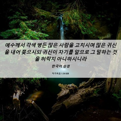 Picture 06 - 마가복음 1:34 KOR - 예수께서 각색 병든 많은 사람을 - Bible Verse Picture