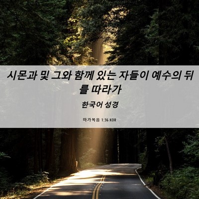 Picture 06 - 마가복음 1:36 KOR - 시몬과 및 그와 함께 있는 자들이 - Bible Verse Picture