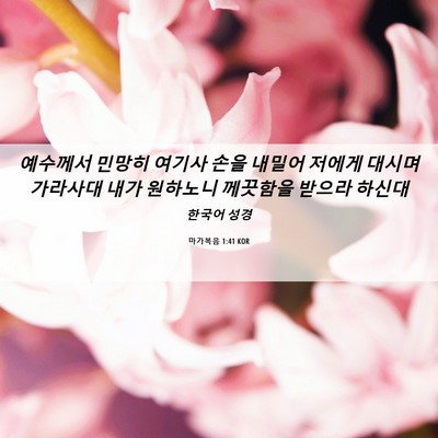 Picture 06 - 마가복음 1:41 KOR - 예수께서 민망히 여기사 손을 내밀어 - Bible Verse Picture