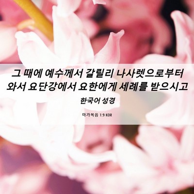 Picture 06 - 마가복음 1:9 KOR - 그 때에 예수께서 갈릴리 - Bible Verse Picture